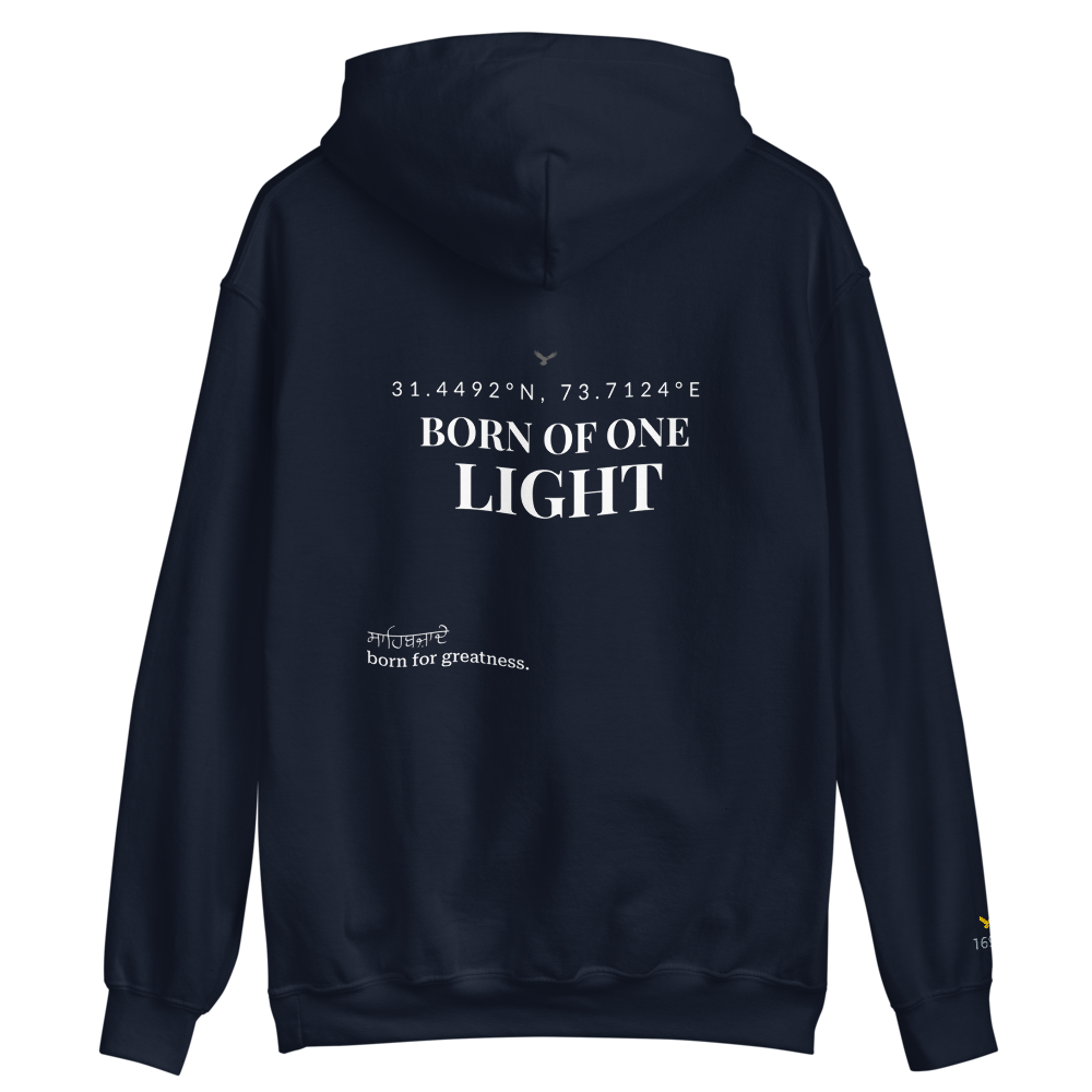 Navy Classic Hoodie Back
